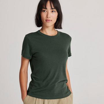 Allbirds Sea T-shirts Dames Groen | BE1140WN